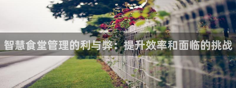 K66凯时国际平台官网