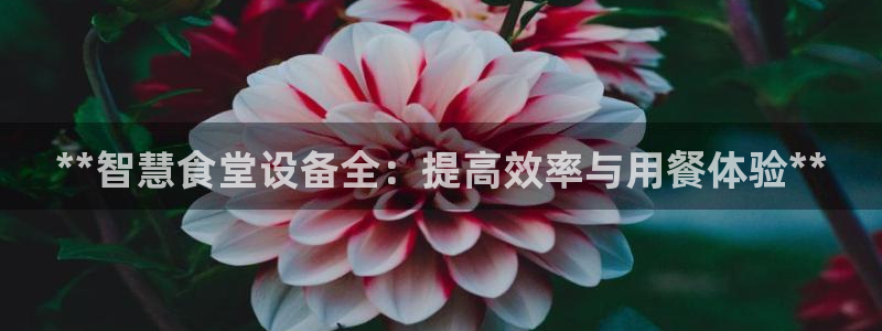 尊龙一人生就是博电子游戏