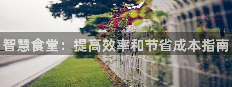 尊龙人生就是博旧版现金娱乐一下