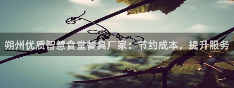 尊龙人生就是博i可靠吗