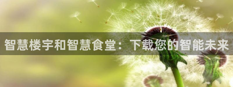 尊龙官网网页版