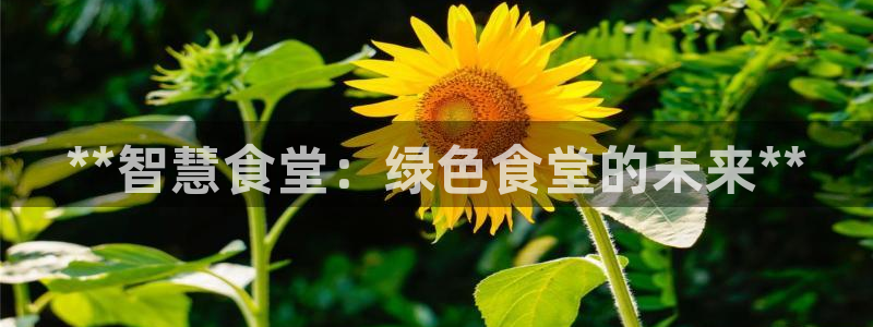 尊龙人生就是博用现金玩一下