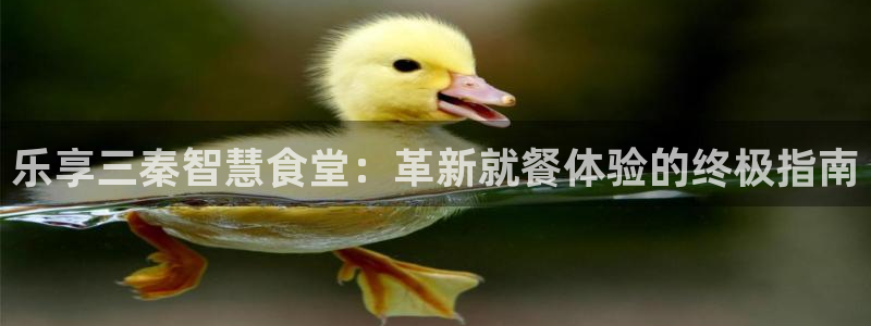 尊龙新版App下载：乐享三秦智慧食堂：革新就餐体验的终极指南